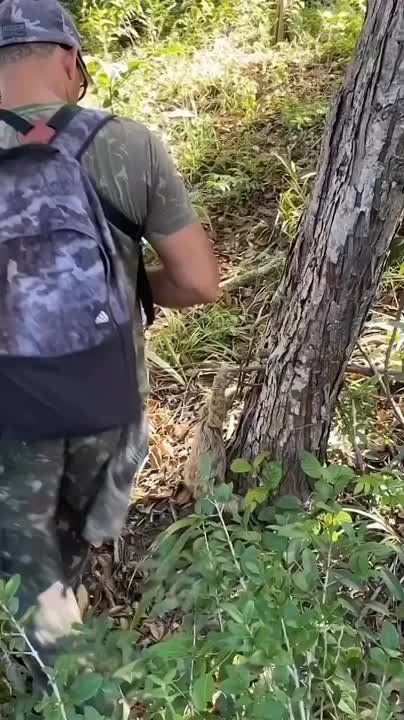   ,  !