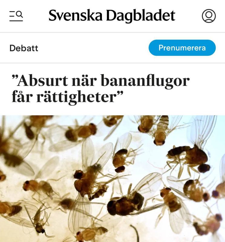 ,    :         ,       -     ,  , , 