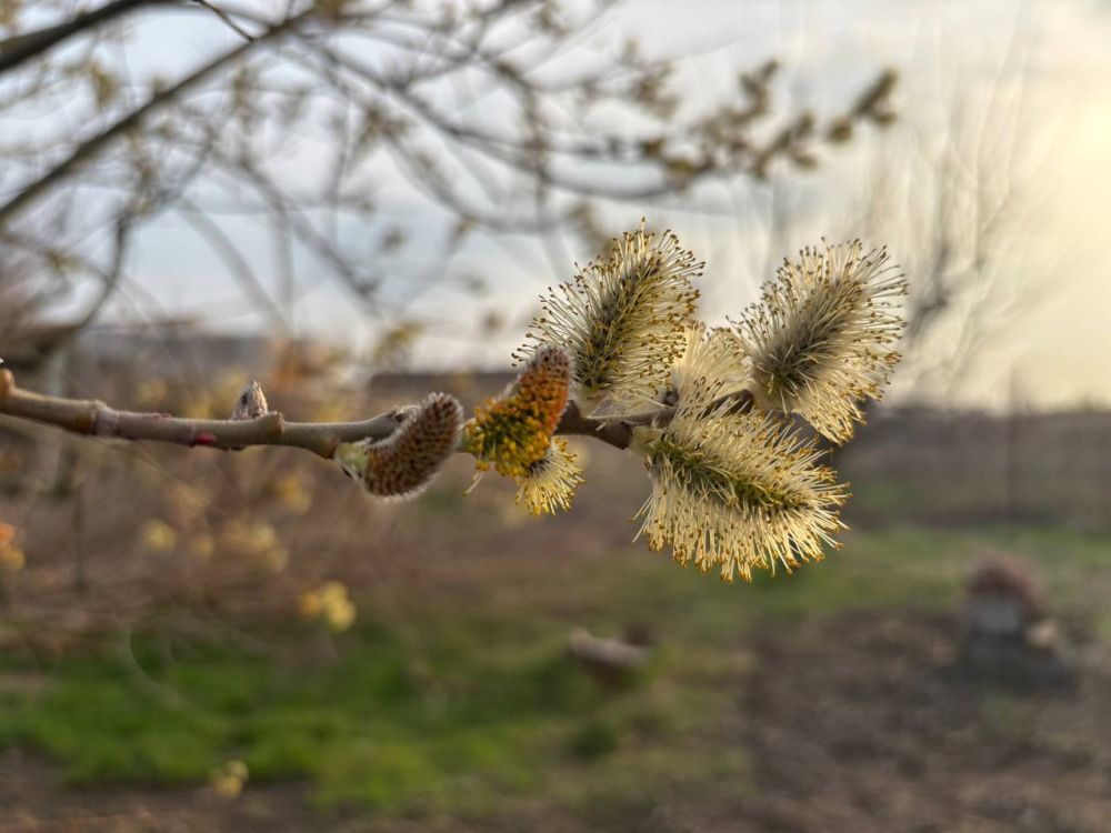 Доброе утречко. Подписывайтесь на "Мелитопольский район"