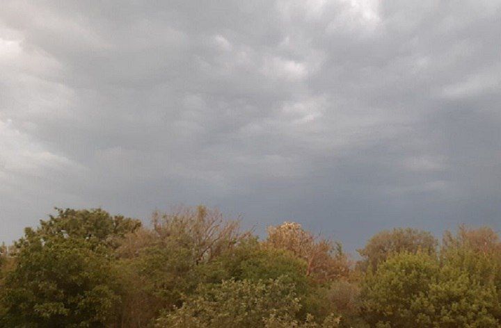 В Запорожской области март завершится дождями