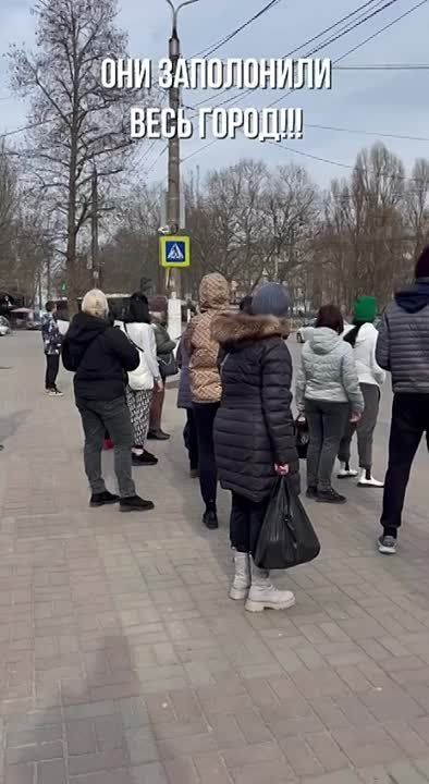 В Запорожской области обновили почти 2/3 пассажирских автобусов