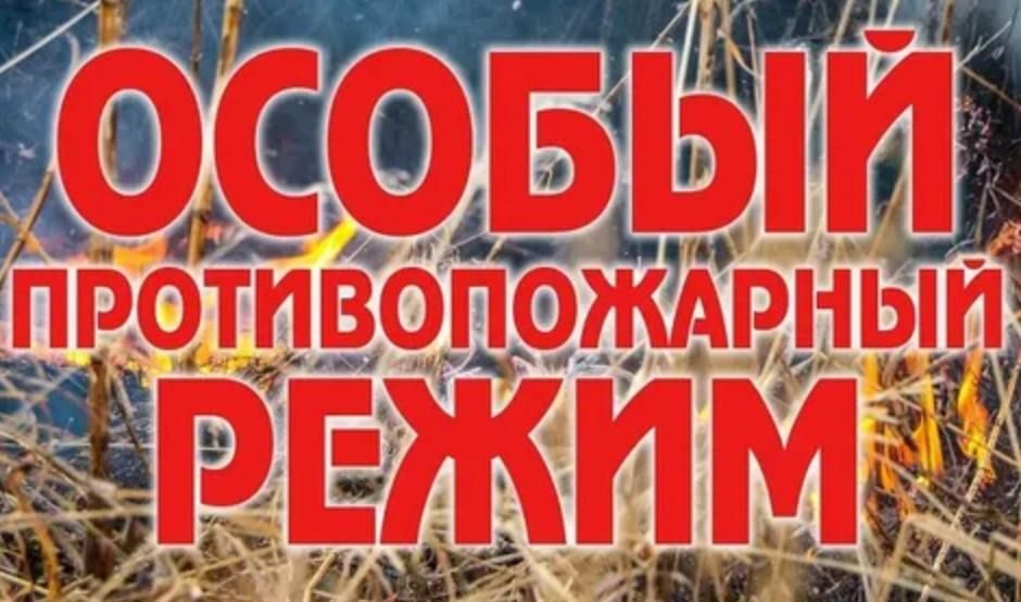 С 1 апреля в Запорожской области введен особый противопожарный режим