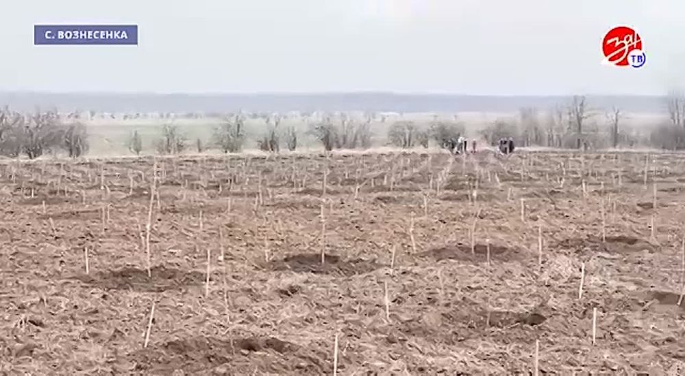 � �������������� ������ ���������� �������