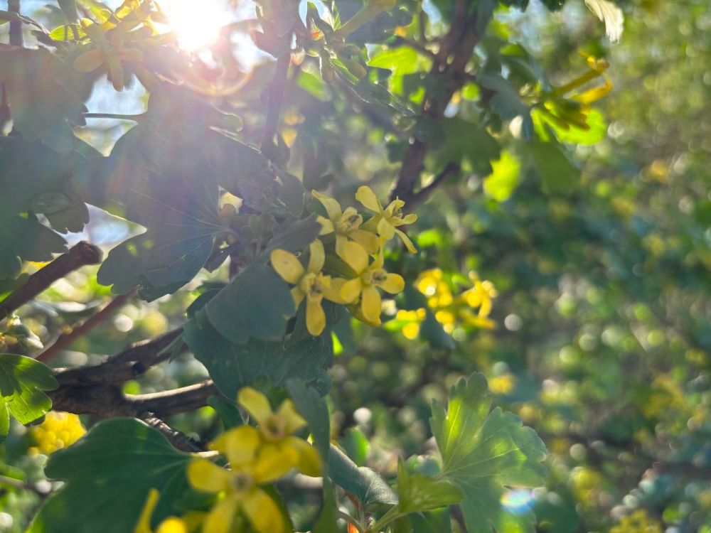 Доброе утро! Середина недели, а значит, впереди ещё много возможностей!
