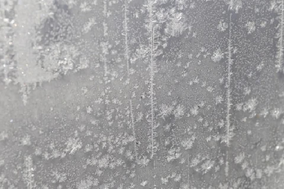 В Мелитопольском округе сады защищают от ночных заморозков