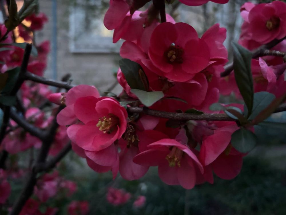 Доброе утро! Наслаждайтесь каждым мгновением!
