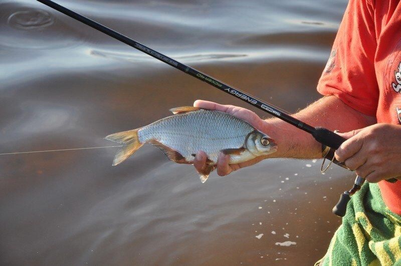 Внимание рыболовам!. С 1 апреля 2025 года в Запорожской области введены ограничения любительского рыболовства, а также полный запрет на промышленный вылов рыбы