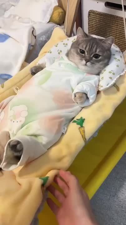Доброго утра , дорогие Мелитопольцы!