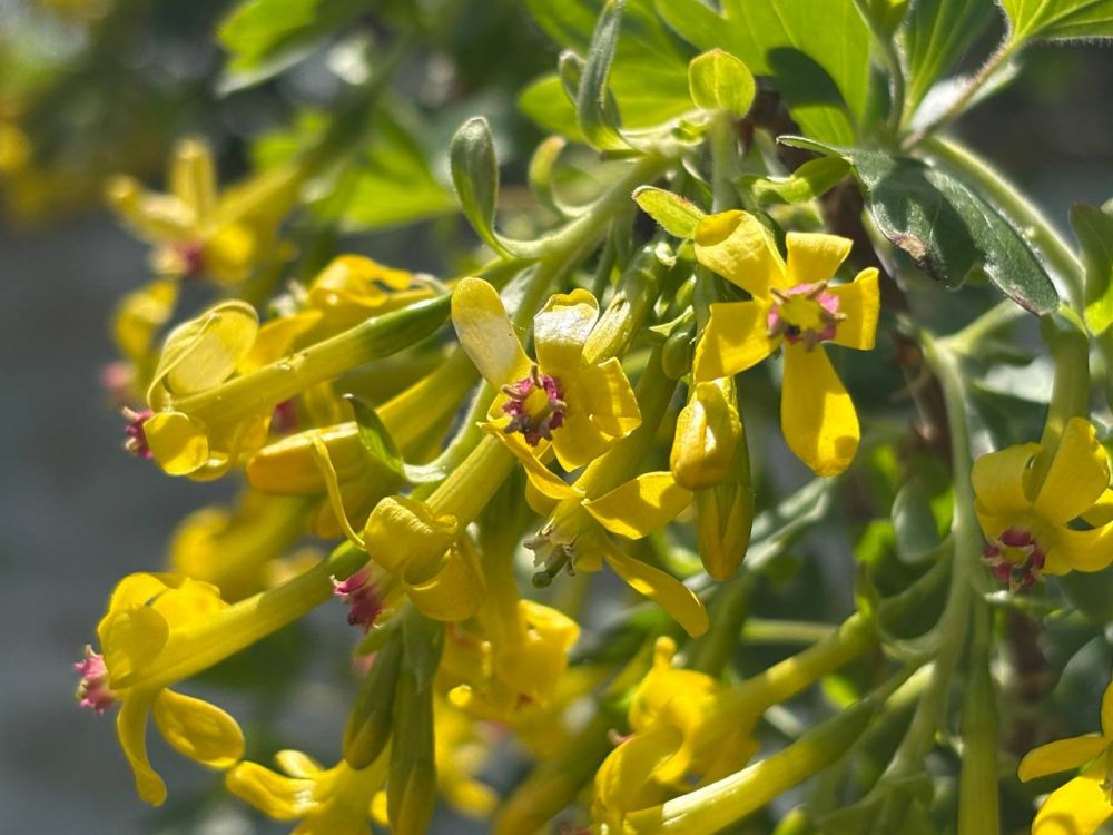 Доброе утро. Подписывайтесь на "Мелитопольский район"