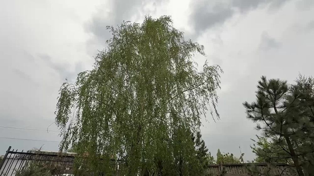 В Мелитополе новый весенний день