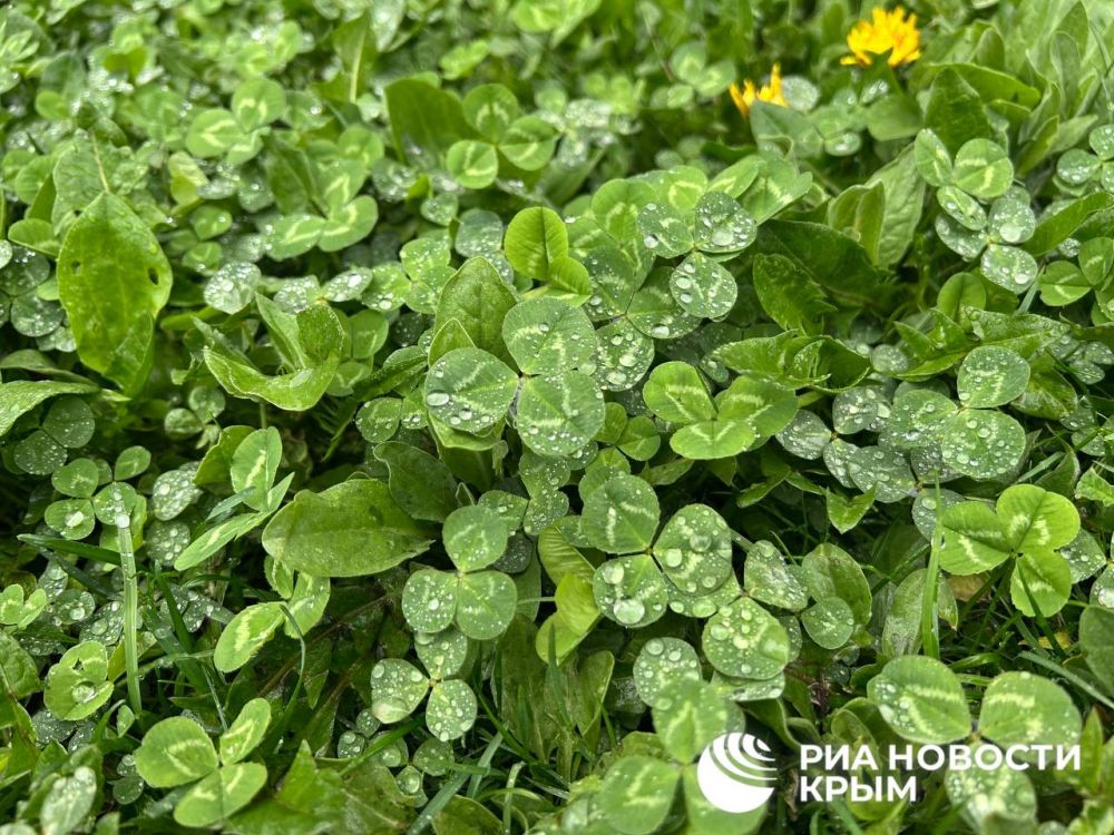 Погода на новых территориях России