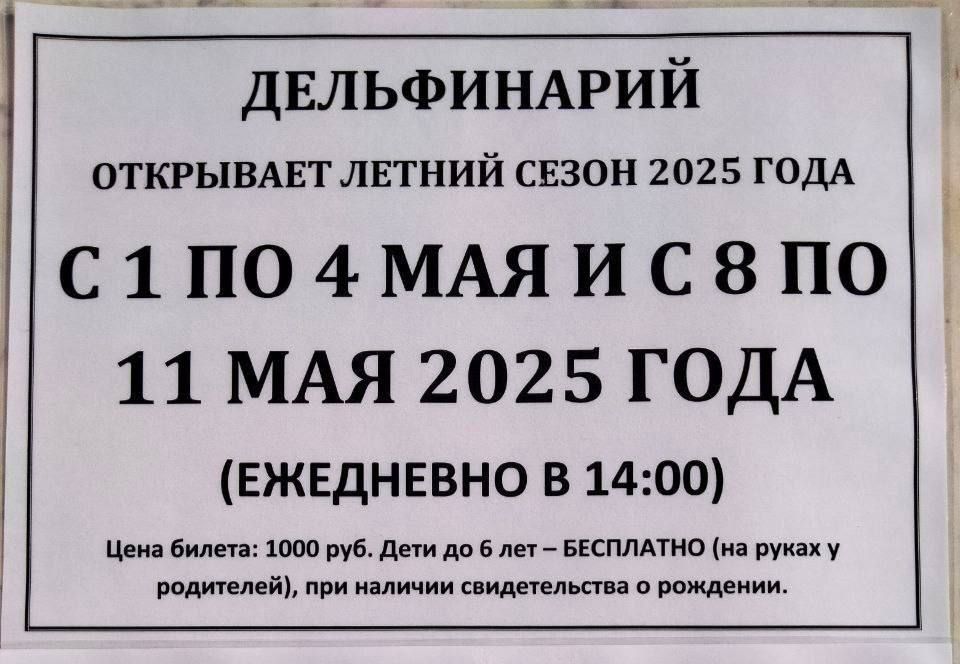       2025 