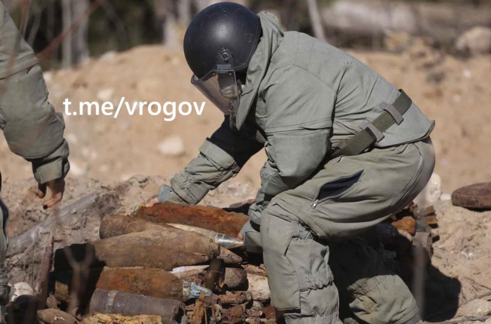 Владимир Рогов: В Мелитополе и пригороде громко!