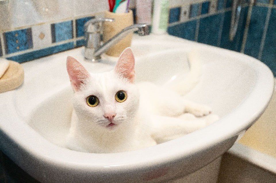 В Бердянске семь улиц остались без воды 3 мая