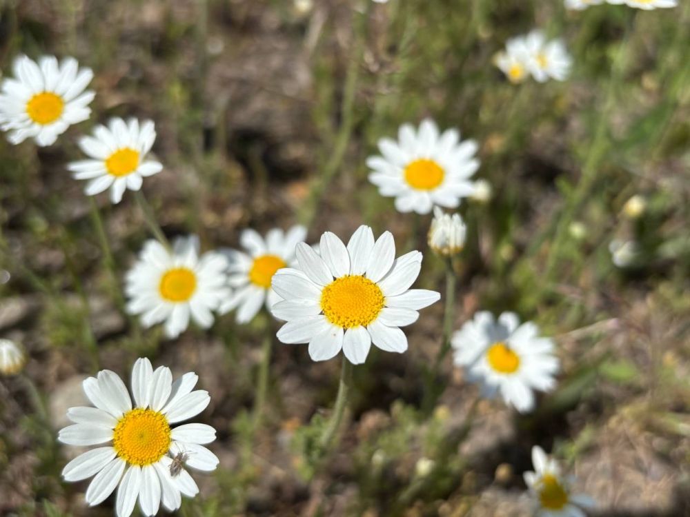 Доброе утро! Пусть этот день принесёт ощутимые результаты