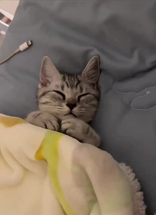   ,  !