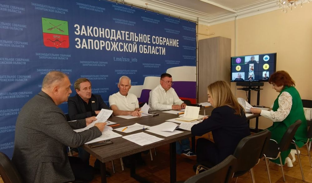 Состоялось заседание комитета Законодательного Собрания Запорожской области по социальной политике