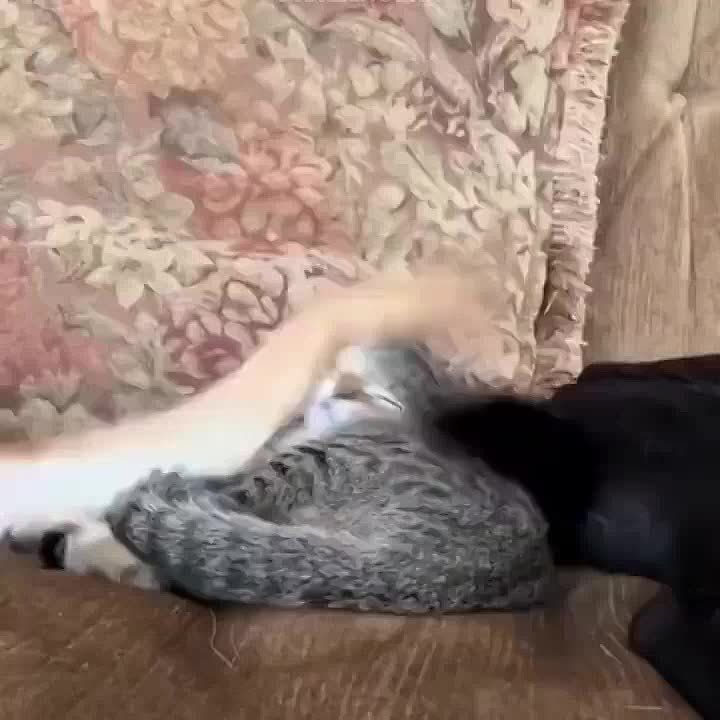   ,  !