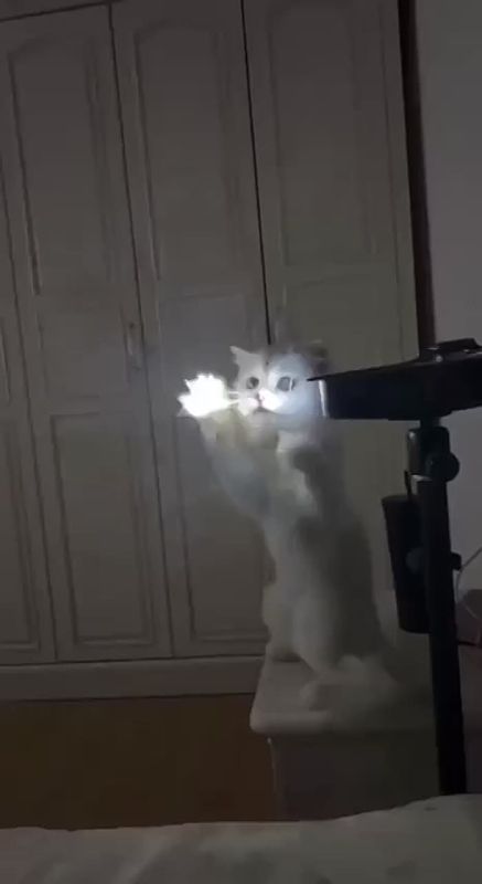   ,  !