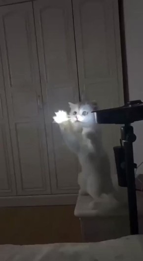   ,  !