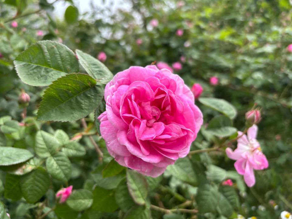 Доброе утро. Подписывайтесь на "Мелитопольский район"