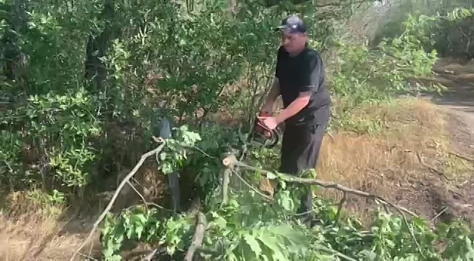 В Запорожской области регулярно проводятся мероприятия по защите лесов от пожаров