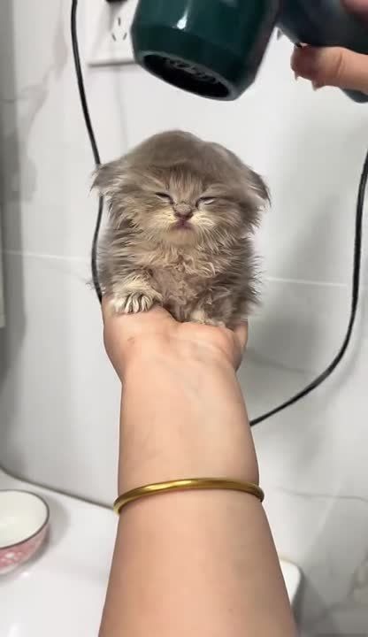   ,  !