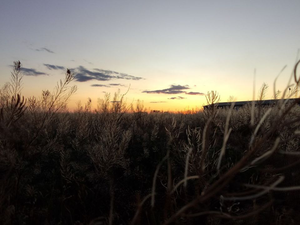 ������ ����! ����������, ����� ����������� ������� ������!