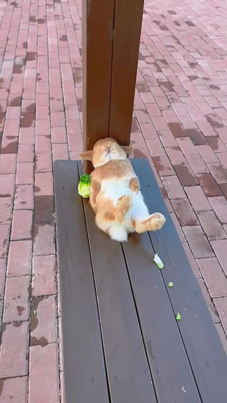   ,  !