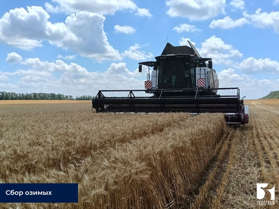 ������ �����, ����� ������ � �������� ���������� ��� - ������ ���������� �������� �� ������