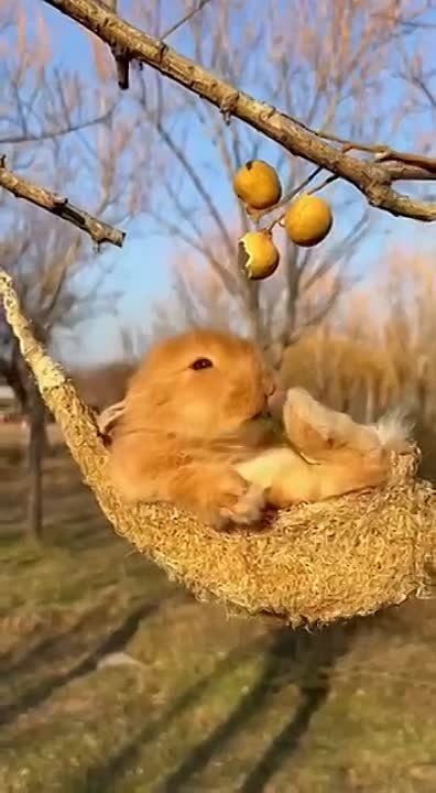 Доброго утра , дорогие Мелитопольцы!