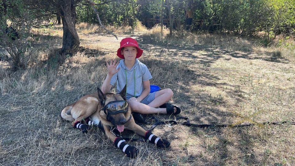 ���� ��������������� ������ ������������� � ������� ��������, ��������� ������� ������� � ������� ����� ����������