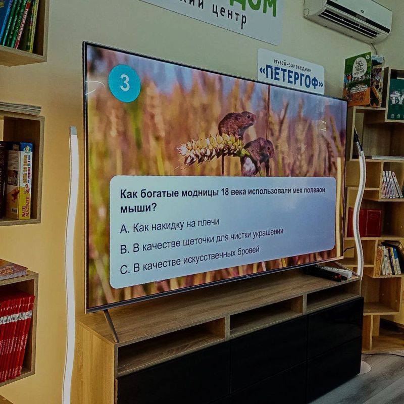 IQ-��������� � ��� ���, ��� ����� �������������� � ����� ��������