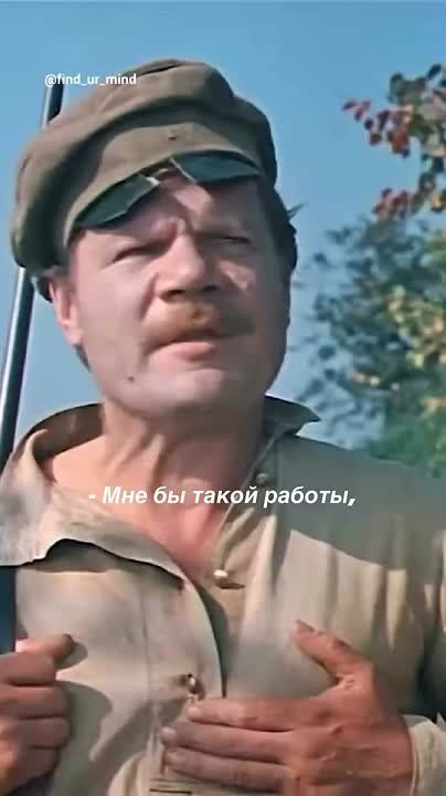                :