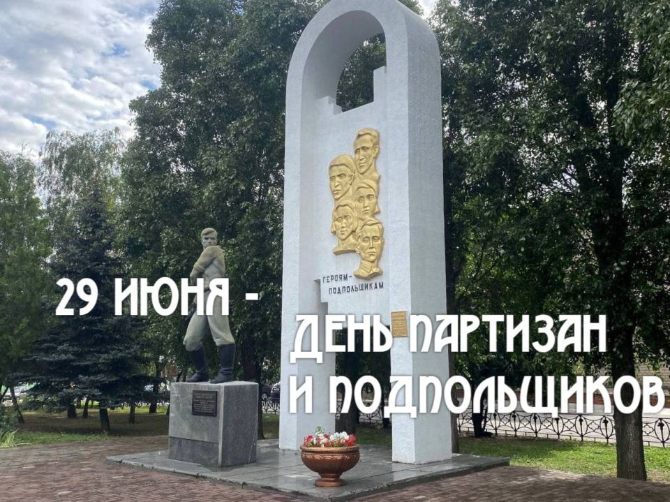 29      