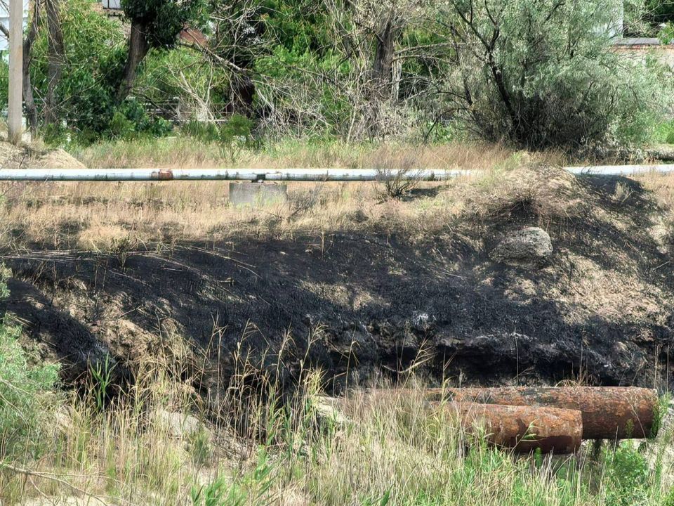 ���������� ������ �������� ����� ����� ��� �� ����������� ����������� ���