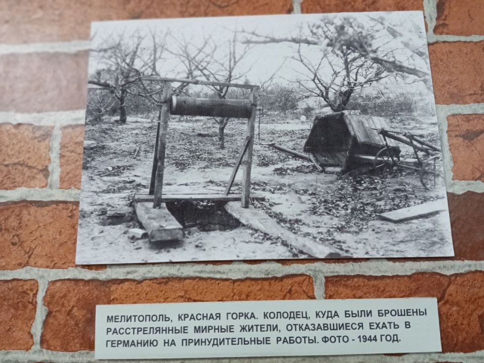 Оперативная сводка за 22 ноября 1943 г Оперативная сводка за 22 ноября 1943 г