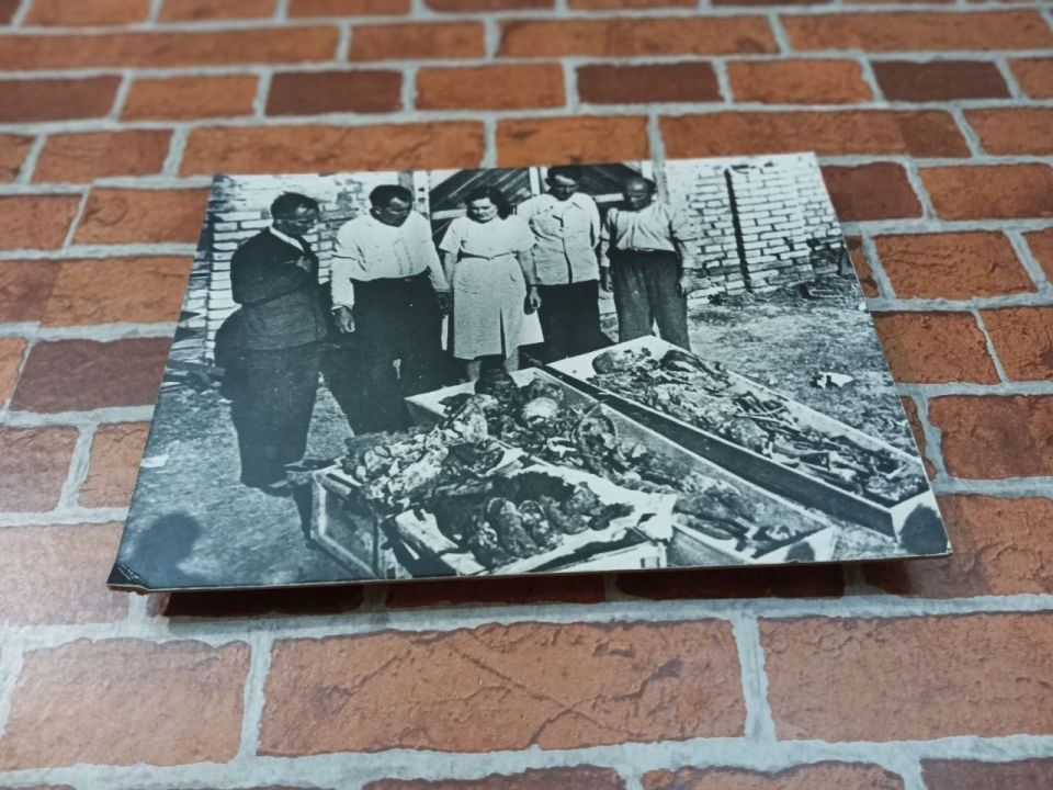 Оперативная сводка за 22 ноября 1943 г Оперативная сводка за 22 ноября 1943 г