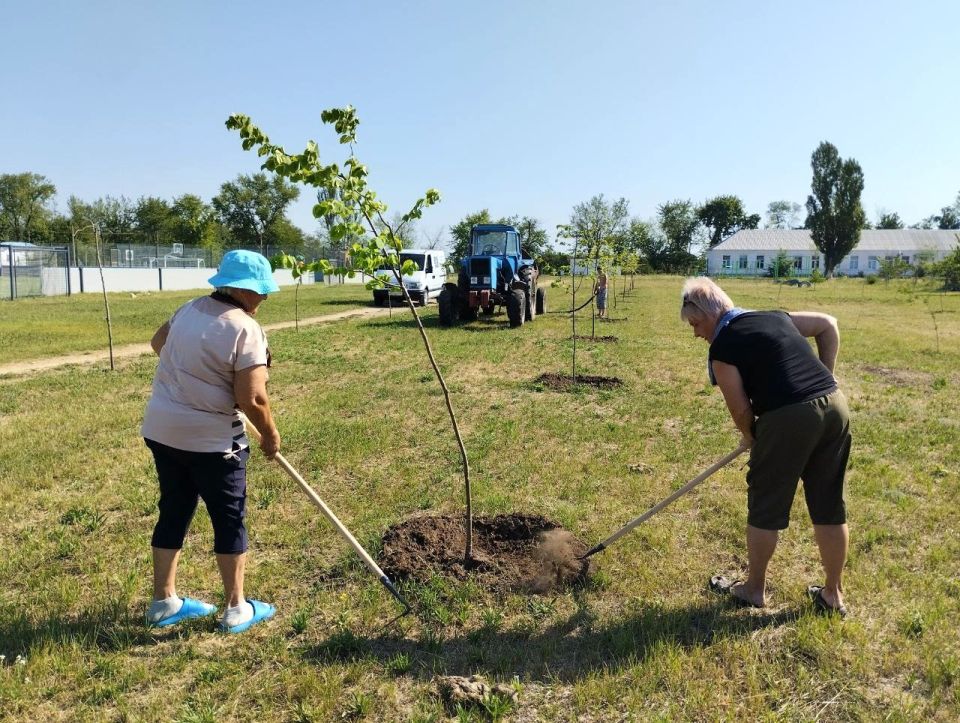 В селе Терпенье провели работы по благоустройству В селе Терпенье провели работы по благоустройству