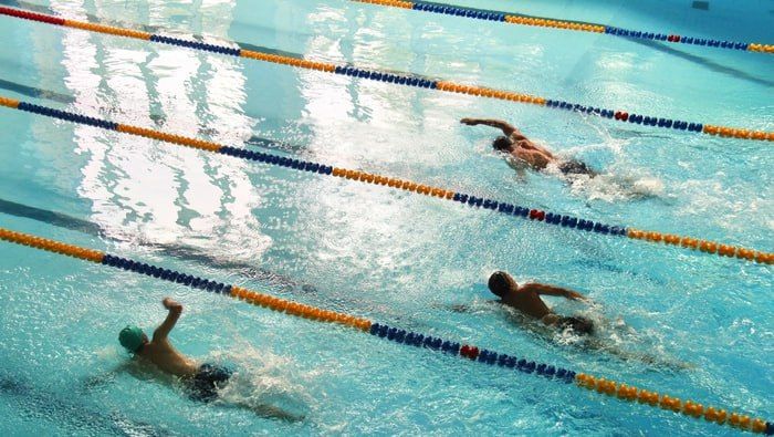 , 12 ,    &quot;&quot;      IV    &quot; &quot;