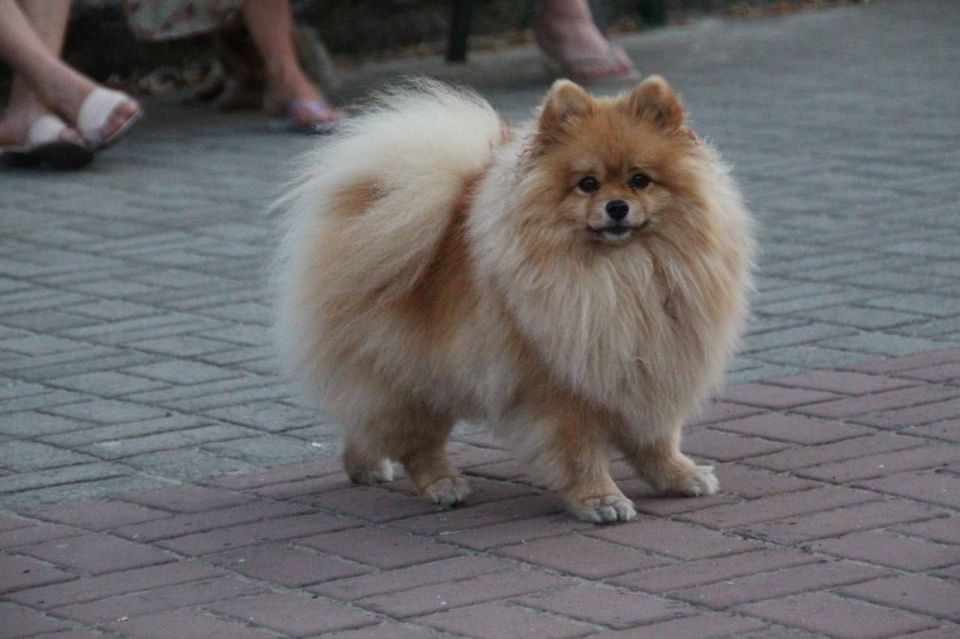 Летний вечер в Мелитополе — это особая пора Летний вечер в Мелитополе — это особая пора