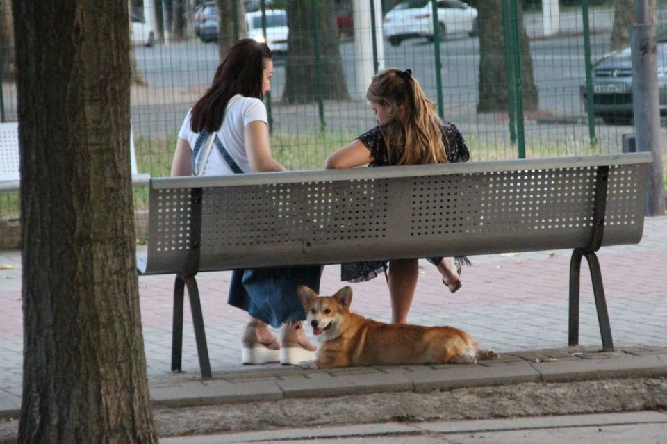 Летний вечер в Мелитополе — это особая пора Летний вечер в Мелитополе — это особая пора