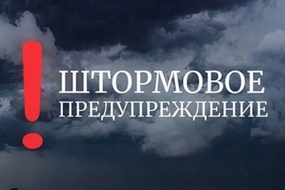  .    17         :