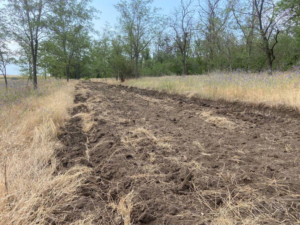 Продолжаются противопожарные мероприятия в Бердянском районе для защиты лесов от огня Продолжаются противопожарные мероприятия в Бердянском районе для защиты лесов от огня