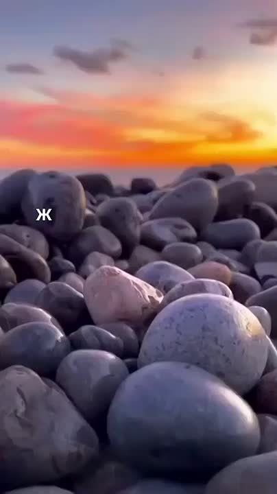   ,  !
