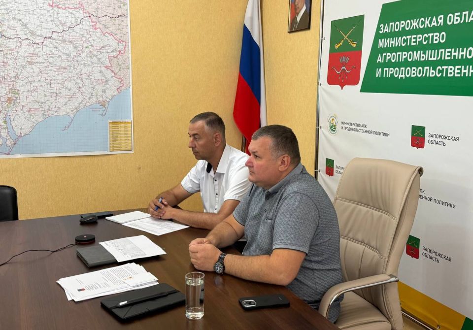 Андрей Сигута: Принял участие в обсуждении реализации федерального проекта «Кадры в АПК» под председательством заместителя министра сельского хозяйства России Ксении Леонидовны Шевелкиной