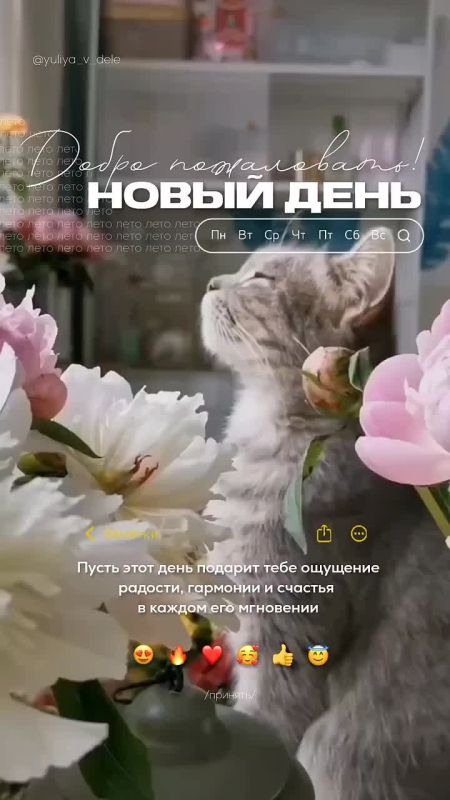 Доброго утра , дорогие Мелитопольцы!