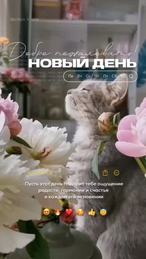   ,  !