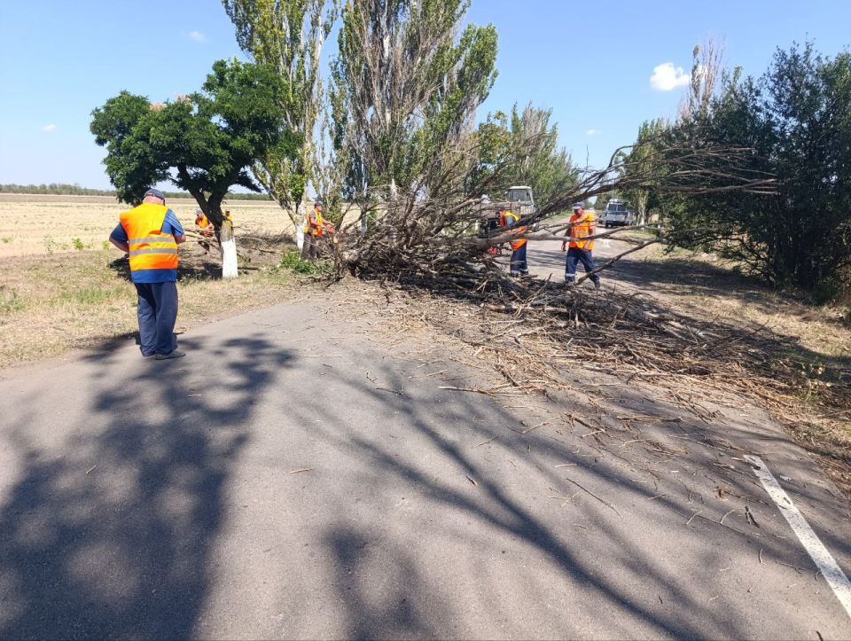 Сотрудники МУП «Жилсервис» провели обрезку сухих веток в центре села Новгородковка