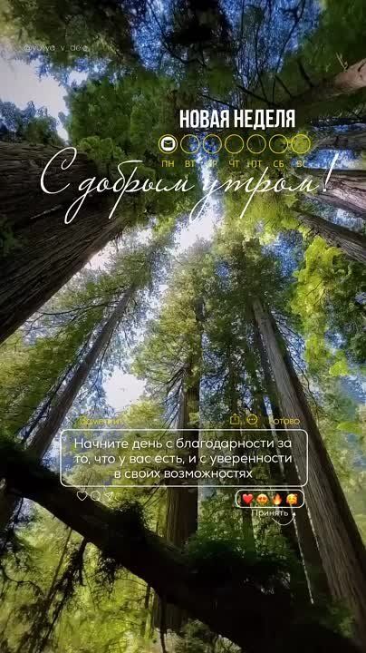 Доброго утра , дорогие Мелитопольцы!